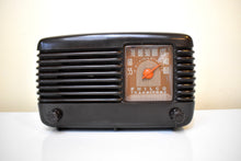 Load image into Gallery viewer, Marble Brown 1948 Philco Transitone 48-200 AM Bakelite Vacuum Tube Radio Sounds Great! Beauty to Behold!