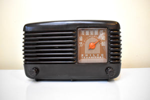 マーブルブラウン 1948 Philco Transitone 48-200 AM ベークライト真空管ラジオのサウンドは素晴らしいです。見るべき美しさ！
