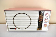 Load image into Gallery viewer, Savoy Pink 1963 Olympic Model AM/FM Vacuum Tube Radio Sounds Great Excellent Condition!