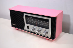 Flamingo Pink 1972 Panasonic Model RE-6283 Solid State AM/FM Radio Works Great!