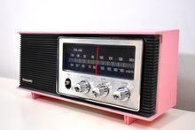 Load image into Gallery viewer, Flamingo Pink 1972 Panasonic Model RE-6283 Solid State AM/FM Radio Works Great!
