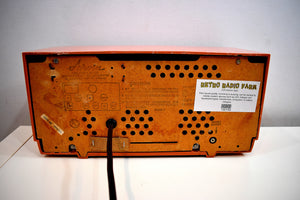 Pumpkin Spice 1956-1957 Arvin Model 3561 Vacuum Tube Radio Dual Speaker Sounds Great!