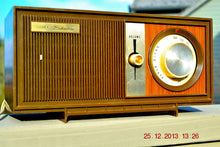 画像をギャラリービューアに読み込む, SOLD! - March 20, 2014 - RETRO Modern Fugly 1960&#39;s Silvertone Model 6002 Brown Woodgrain Radio Works! - [product_type} - Silvertone - Retro Radio Farm