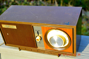 SOLD! - March 20, 2014 - RETRO Modern Fugly 1960's Silvertone Model 6002 Brown Woodgrain Radio Works! - [product_type} - Silvertone - Retro Radio Farm