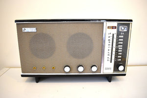 1956 Sanyo Model SF-680 AM/Short Wave Vacuum Tube Radio Sounds Great! One of a Kind Radio Find!